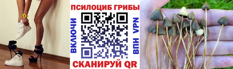 Псилоцибиновые грибы Psilocybine cubensis  кракен онион  Рязань 