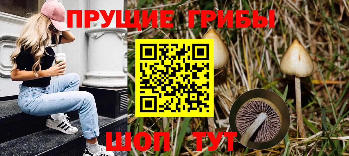 где найти   Галлюциногенные грибы мухоморы  Вход с VPN  Рязань 