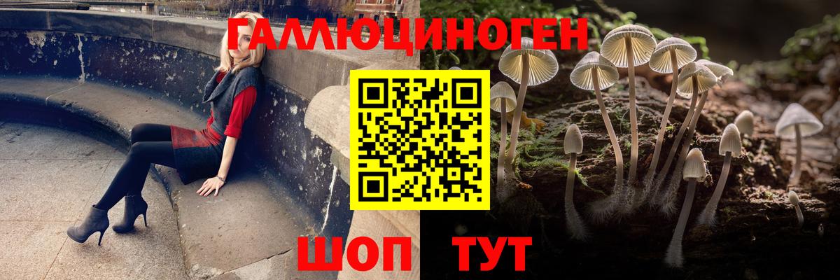 Галлюциногенные грибы GOLDEN TEACHER Рязань