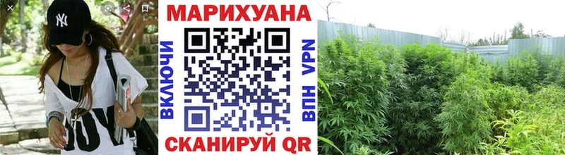 где купить наркотик  Рязань  Бошки марихуана AK-47 